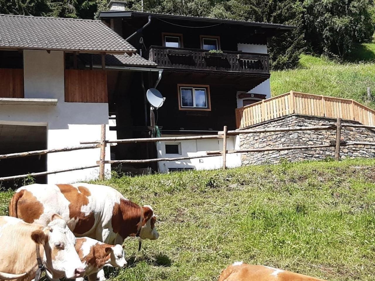 Wunderschones Ferienhaus In Feistritz Mit Terrasse Villa Grades Exterior photo